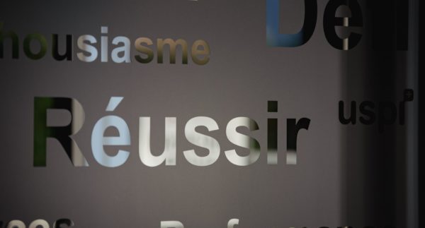 Image article Félicitations aux nouveaux certifiés Immobase formés online de novembre 2024 à février 2025!